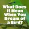 What Does It Mean When You Dream About A Bird