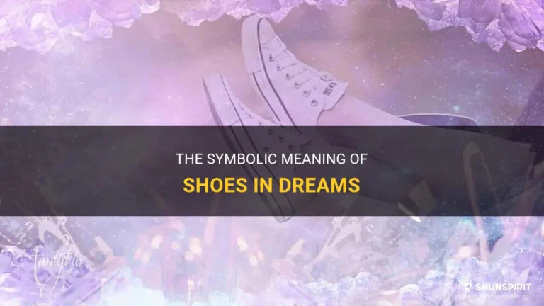 What Does It Mean When You Dream Of Shoes