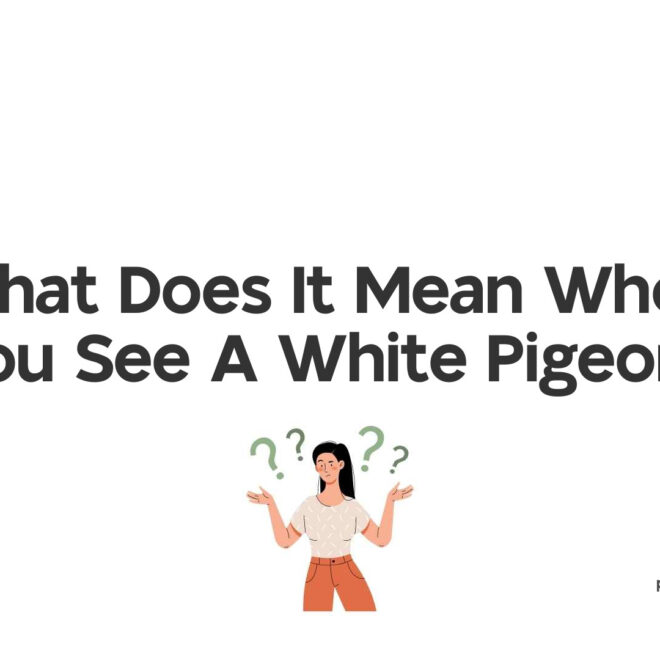 What Does It Mean When You See A White Pigeon