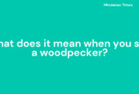 What Does It Mean To See A Woodpecker