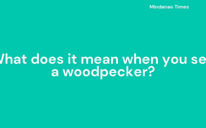 What Does It Mean To See A Woodpecker