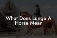 What Does It Mean To Lunge A Horse