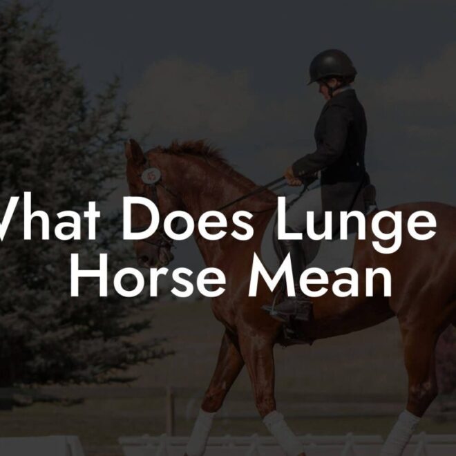 What Does It Mean To Lunge A Horse