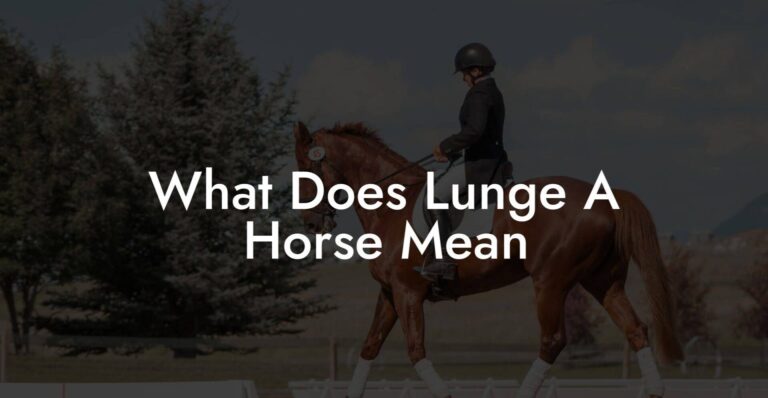 What Does It Mean To Lunge A Horse