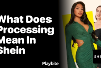 What Does Processing Mean On Shein