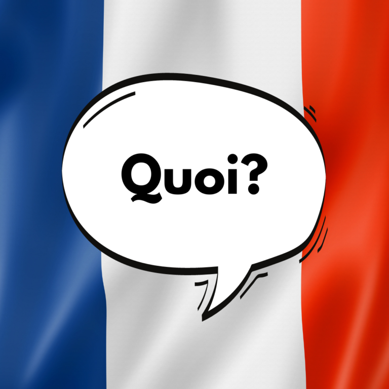 What Does Dit Mean In French