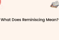 What Does Reamortize Mean