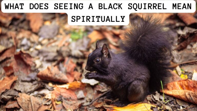 What Does Seeing A Squirrel Mean Spiritually