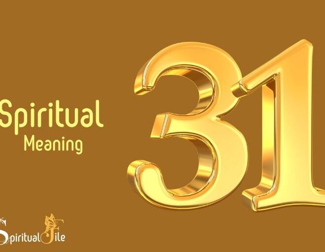 What Does The Number 31 Mean