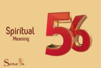 What Does The Number 56 Mean Spiritually
