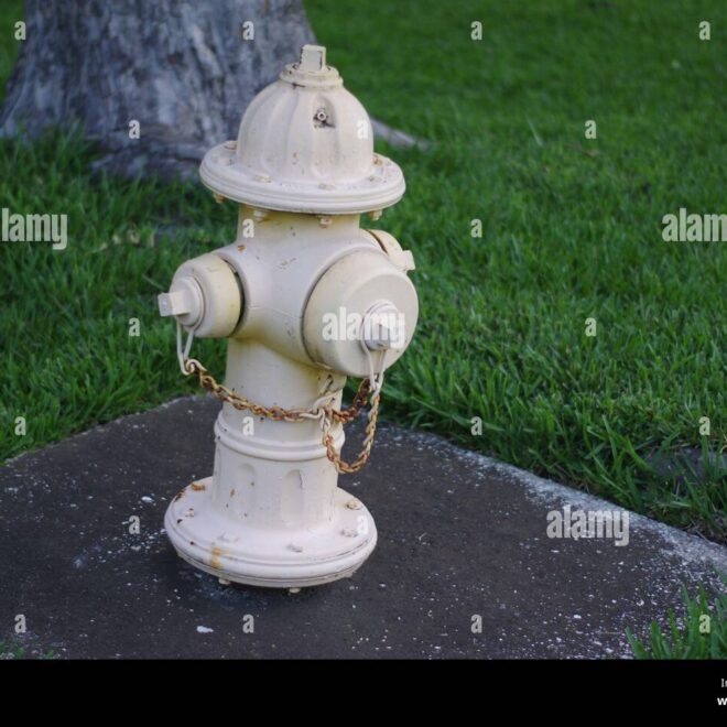 What Does A White Fire Hydrant Mean