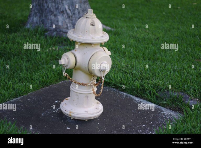 What Does A White Fire Hydrant Mean