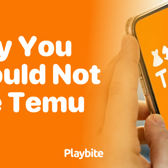 What Does In Transit Mean On Temu