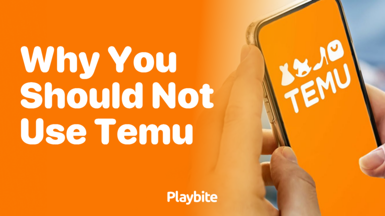 What Does In Transit Mean On Temu