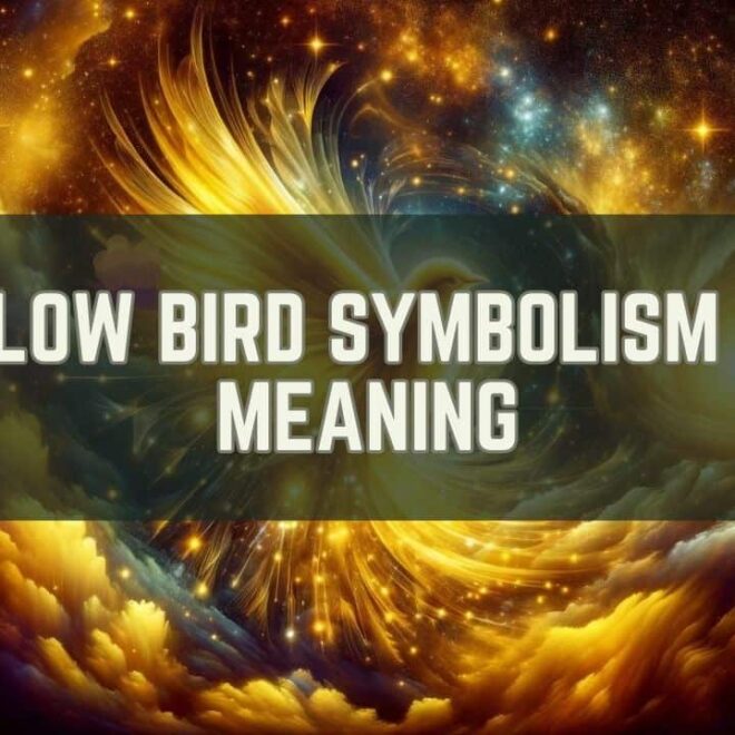 What Do Yellow Birds Mean