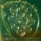 What Do Aquarium Snail Eggs Look Like? Identification and Removal Tips