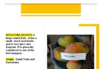 What Do Mangoes Taste Like? Sweetness Texture and Flavor Notes