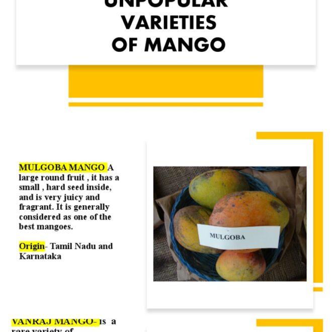 What Do Mangoes Taste Like? Sweetness Texture and Flavor Notes