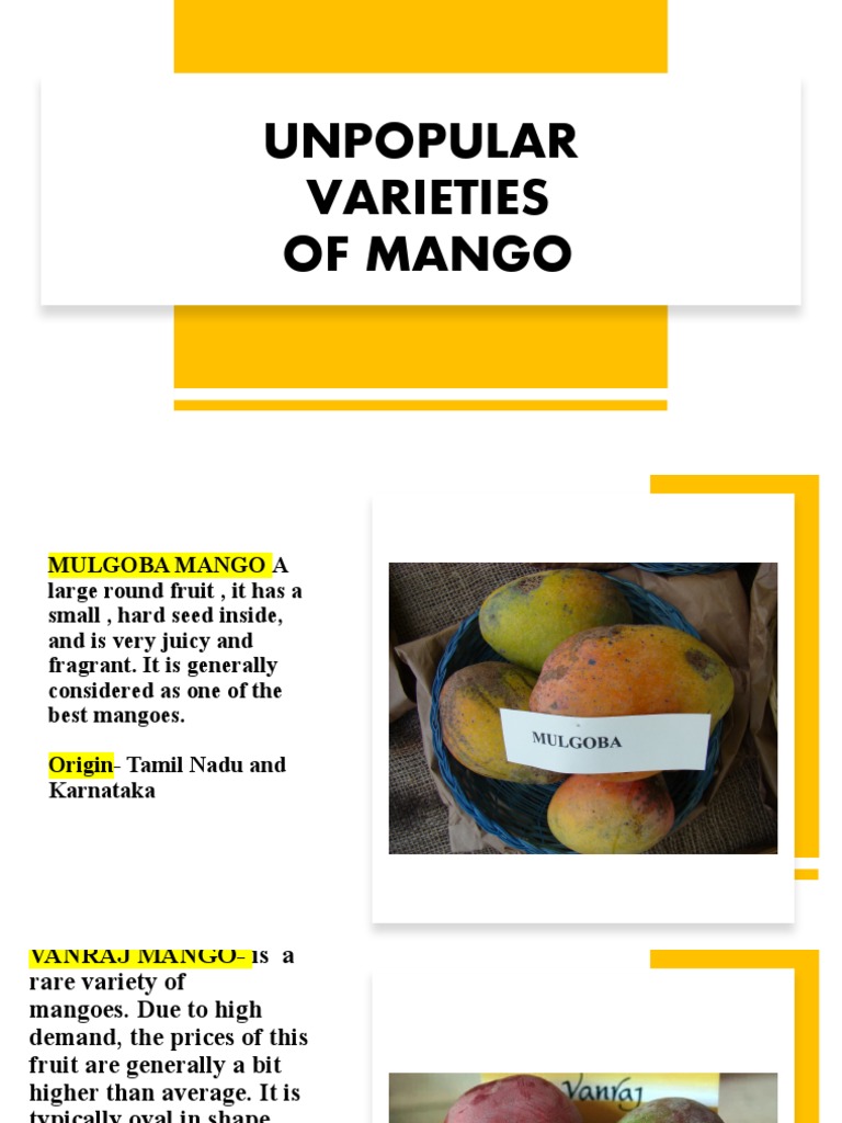 What Do Mangoes Taste Like? Sweetness Texture and Flavor Notes