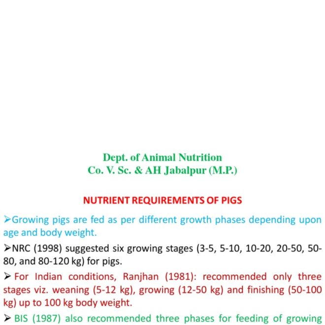 What Do You Feed Pigs? Balanced Diets for Healthy Growth