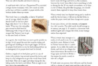 What Do Wooly Bears Eat? Caterpillar Diet and Habitat Guide