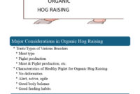 What Do Hogs Eat? Natural Diets Farm Feeding and Growth Tips