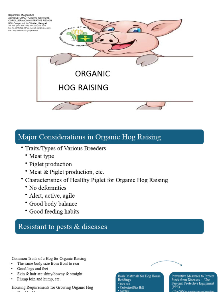 What Do Hogs Eat? Natural Diets Farm Feeding and Growth Tips