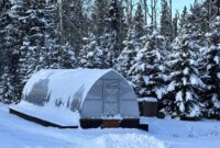 What Do Greenhouses Do? How They Boost Plant Growth Year-Round