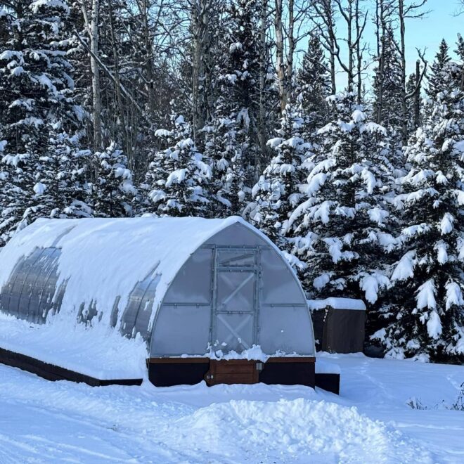 What Do Greenhouses Do? How They Boost Plant Growth Year-Round