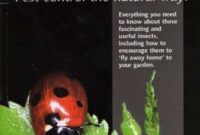 What Do Ladybirds Eat and Drink? Natural Pest Control in Your Garden