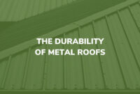 Metal Roofs for Government Buildings: Durability and Procurement Rules