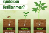 What Do the 3 Numbers on Fertilizer Mean? N-P-K Ratios Explained