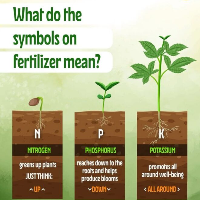 What Do the 3 Numbers on Fertilizer Mean? N-P-K Ratios Explained