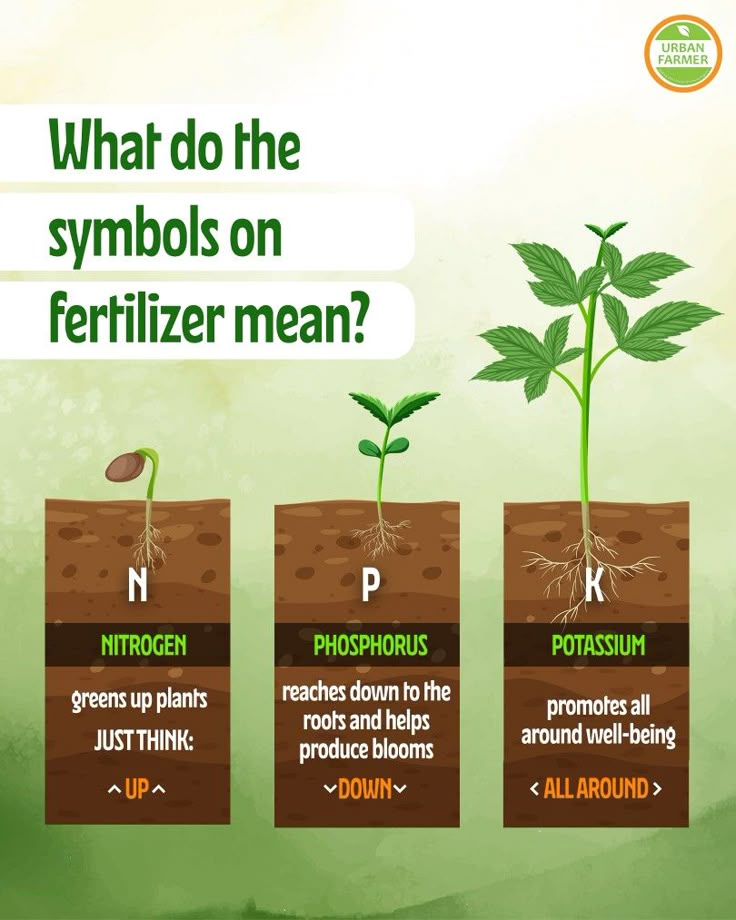 What Do the 3 Numbers on Fertilizer Mean? N-P-K Ratios Explained