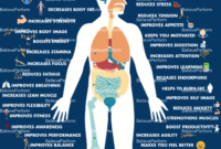 What Do You Feel When You’ve Started a New Sport? Body and Mind Changes