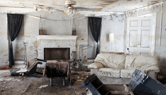 Are Apartment Buildings Safe During Hurricanes? Engineering Answers