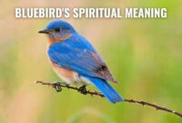 What Do Bluebirds Symbolize? Spiritual Meaning and Folklore Explained