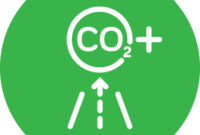 Carbon-Positive Buildings: What They Are and How They Work