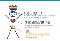 Are All Femboys Gay? Understanding Gender Expression vs Sexual Orientation