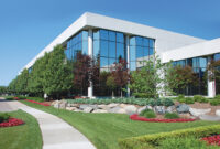 Commercial Landscaping for Municipal Buildings: Durable Design Solutions