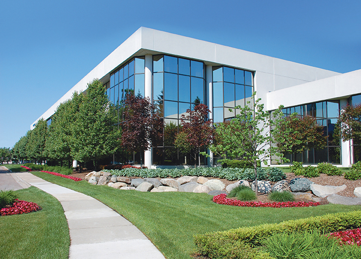 Commercial Landscaping for Municipal Buildings: Durable Design Solutions