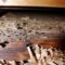 What Do Carpenter Ants Do? Nesting Damage and Control Tips