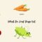 What Do Leaf Bugs Eat? Garden Feeding Habits Explained