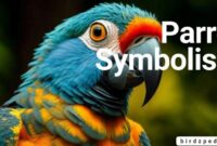 What Does It Mean When You See a Blue Bird? Signs and Symbolism