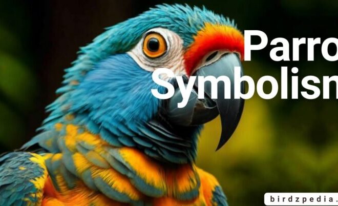 What Does It Mean When You See a Blue Bird? Signs and Symbolism