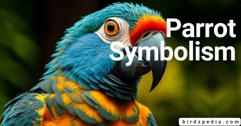 What Does It Mean When You See a Blue Bird? Signs and Symbolism