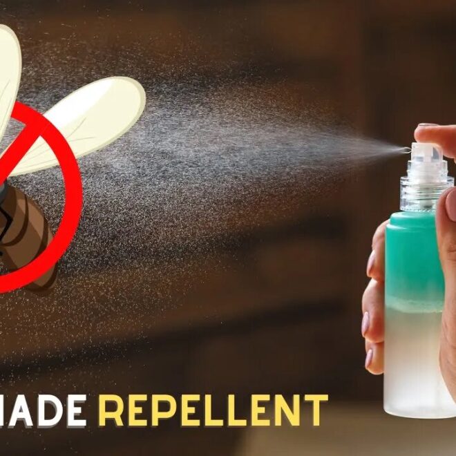 What Do Repellent Insecticides Do? How They Protect Your Home and Garden