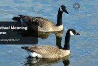 What Do Geese Symbolize? Loyalty Travel and Spiritual Meaning