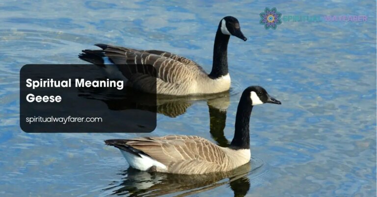 What Do Geese Symbolize? Loyalty Travel and Spiritual Meaning