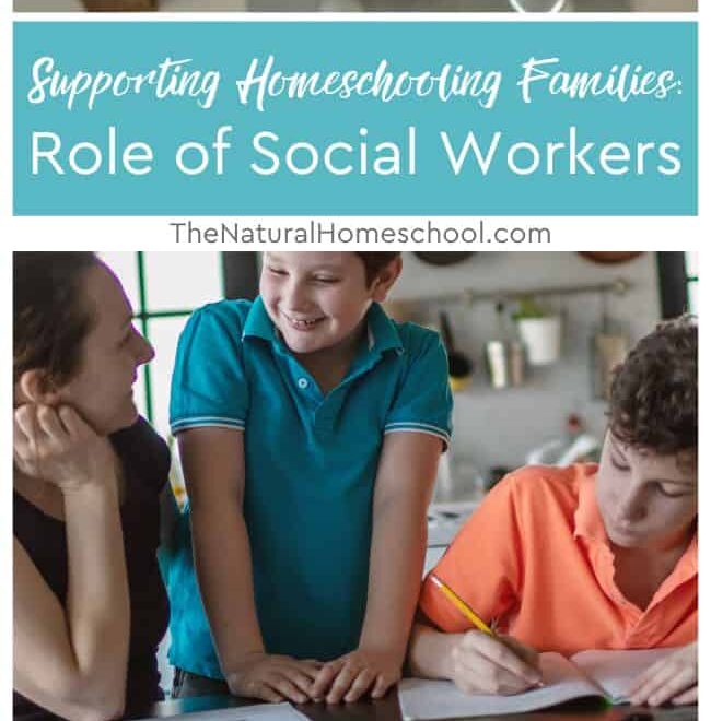 What Do Social Workers Do at Schools? Supporting Students and Families Explained